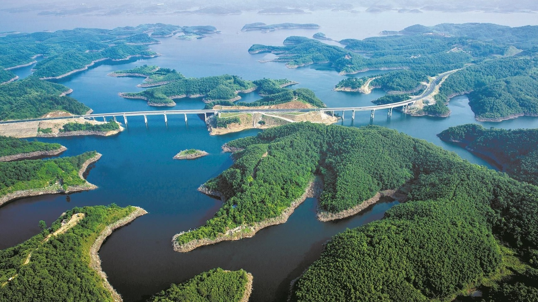 湖北，致敬领导与同胞的深情呼唤